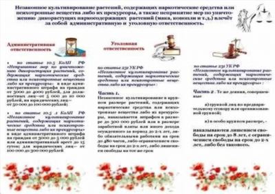 Регистрация бизнеса по продаже табака