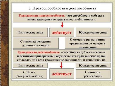 Таможенный декларант: понятие и роль