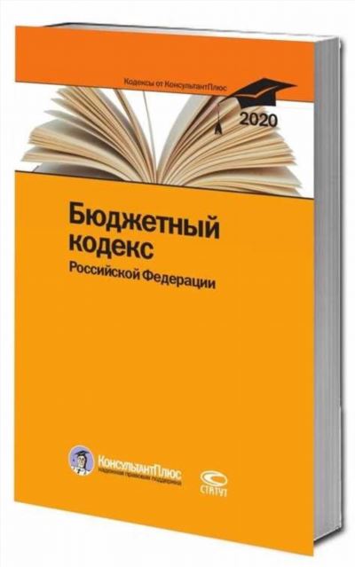 Судебная практика по статье Бюджетный кодекс РФ