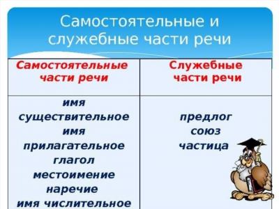 Что еще нужно знать о служебном подлоге?