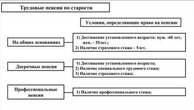 Что такое пенсионные баллы и как это работает?