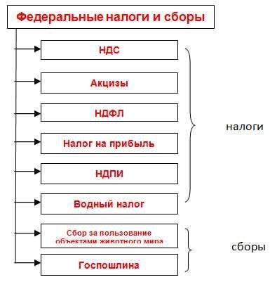 Федеральные, региональные и местные налоги и сборы