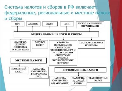 Местные налоги: особенности и примеры