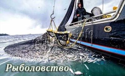 Ограничения на вылов рыбы