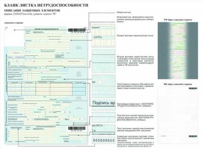 Результаты проверки и их интерпретация