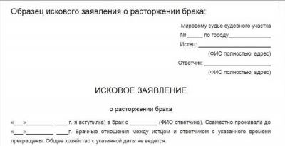 Мировой суд – основания для обращения