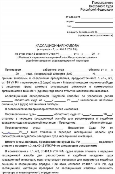 Как и в какой срок подать написанную жалобу в ВС