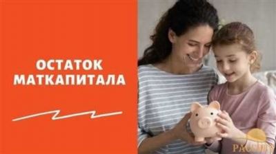 Что делать, если нужна только информация об остатке, а справка – нет?