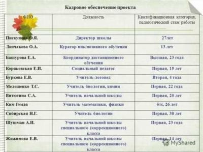 Какие документы необходимы для подтверждения педстажа