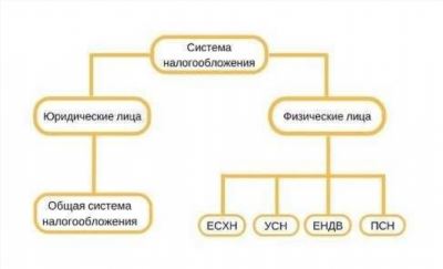 Выгодны ли грузоперевозки с НДС?