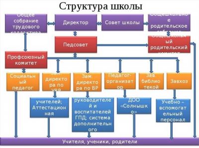 Социальное обслуживание: понятие, виды, порядок оплаты