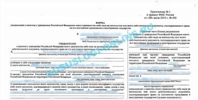 Второе гражданство для россиян: доступные варианты