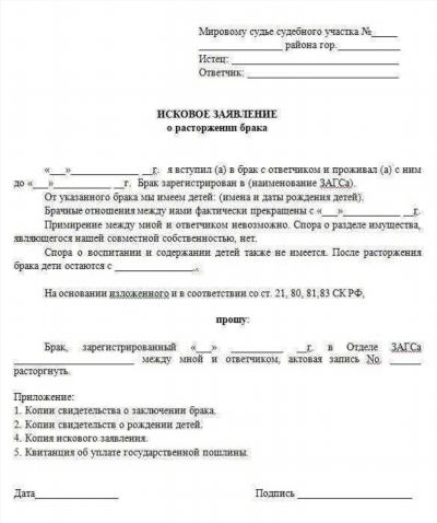 Пример указания причин развода в исковом заявлении