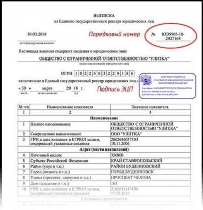 Если получить выписку через сайт невозможно