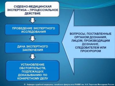 НАПРАВЛЕНИЯ НАШЕЙ ДЕЯТЕЛЬНОСТИ