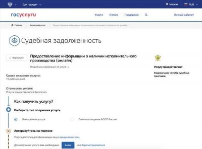 Какие данные о задолженности можно получить через онлайн-сервис