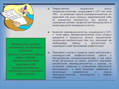 Образец полного отчета по компании